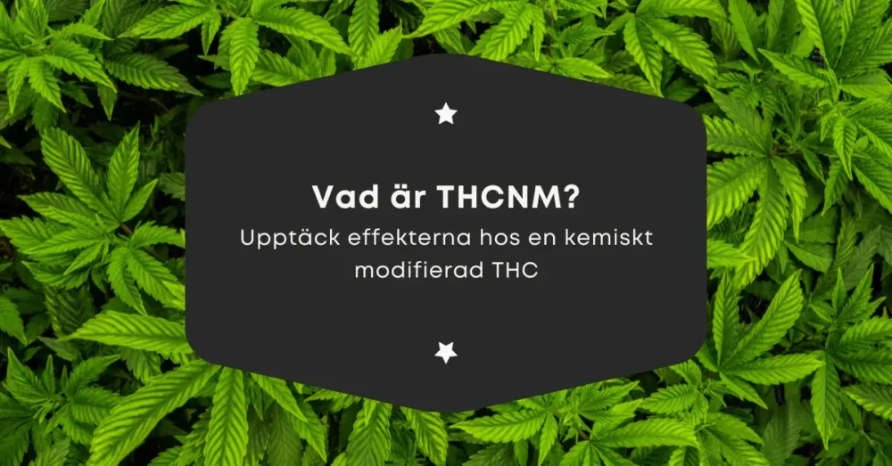 Vad är THCNM?